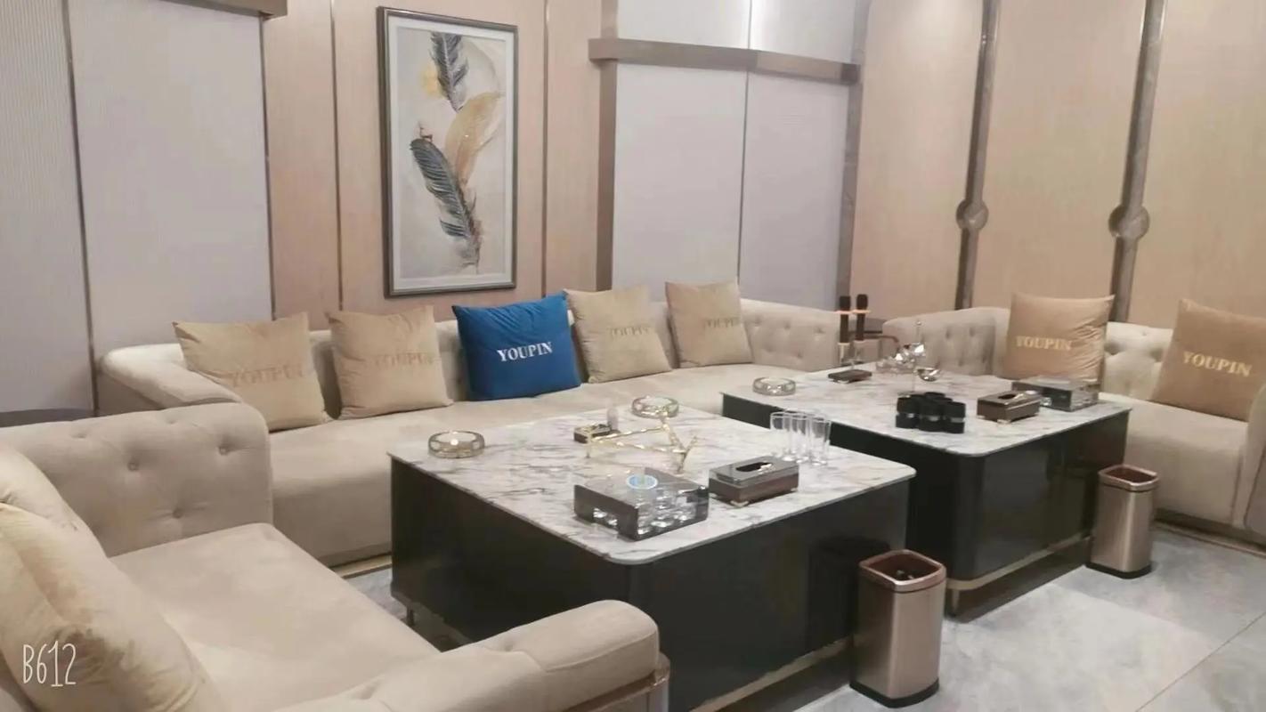 张家口商务ktv推荐及商务ktv有哪些-阳原县ktv预订